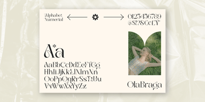 Ola Braga Elegant Serif Fuente Póster 12