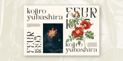 Ola Braga Elegant Serif Font Poster 8