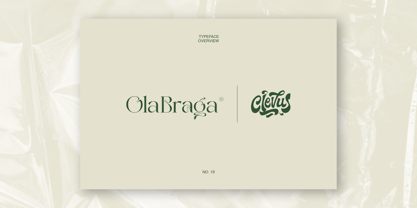 Ola Braga Elegant Serif Fuente Póster 15