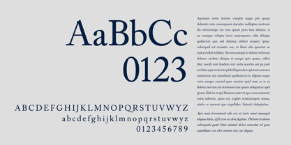 Alvito Nova Font Poster 15