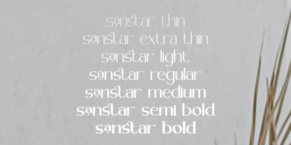 Sanstar Font Poster 10