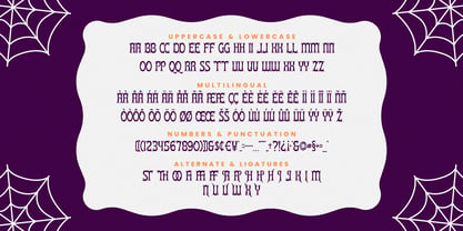 Coonquer Font Poster 5