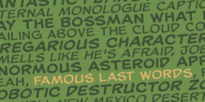 Famous Last Words BB Font Poster 3