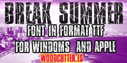 Break Summer Font Poster 5