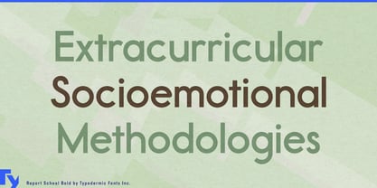 Report School Font Poster 5