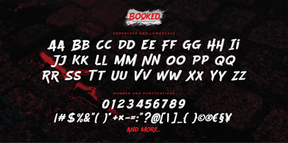 Booked Font Poster 6