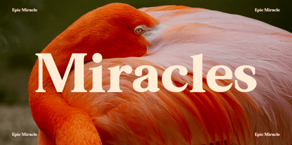 Epic Miracle Font Poster 8
