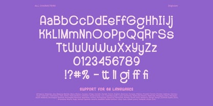 Digicam Font Poster 10