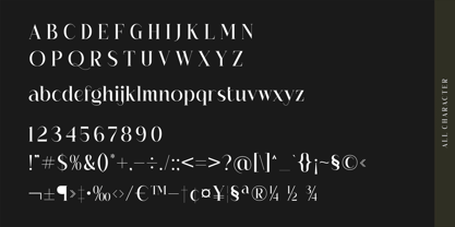 Hagmolya Font Poster 7