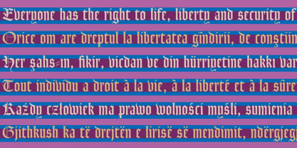 Goudy Text CT Font Poster 10