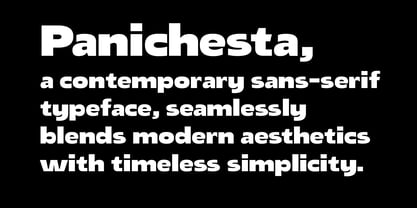 Panichesta Font Poster 14