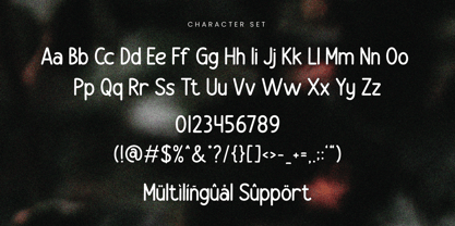 Hello Fontane Font Poster 11