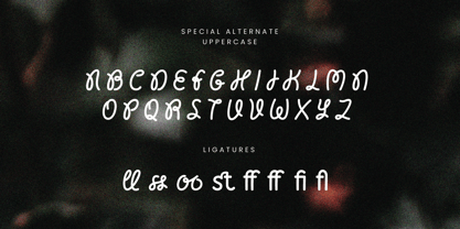 Hello Fontane Font Poster 12