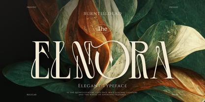 Elnora Font Poster 1