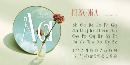 Elnora Font Poster 2