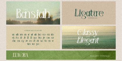 Elnora Font Poster 6