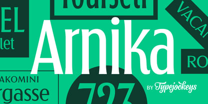Arnika Font Poster 6