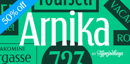 Arnika Font Poster 1