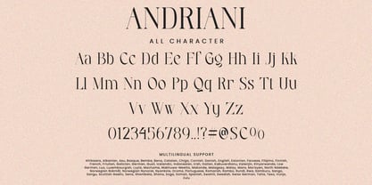 Andriani Font Poster 8