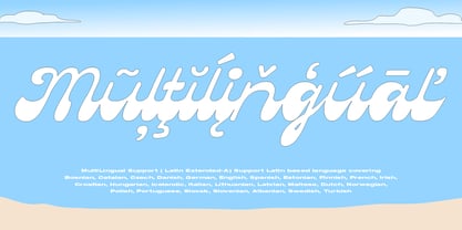 Beachvibes Script Font Poster 5