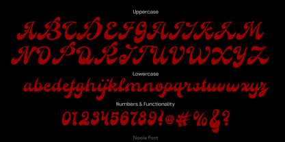 Noola Font Poster 5