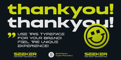 Seeker Font Poster 15