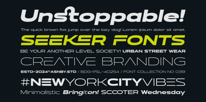 Seeker Font Poster 8