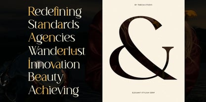 Amoun Modern Serif Fuente Póster 7