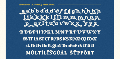 Kinara Font Poster 10