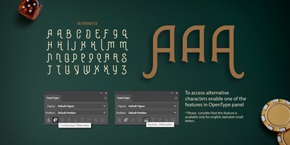 Fortune Font Poster 5