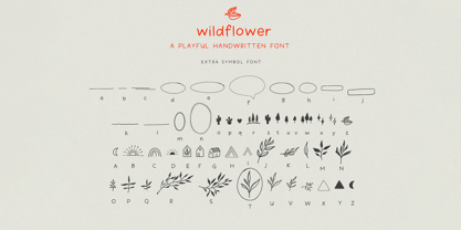 Wildflower Font Poster 15
