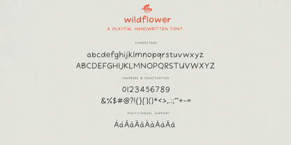Wildflower Font Poster 14