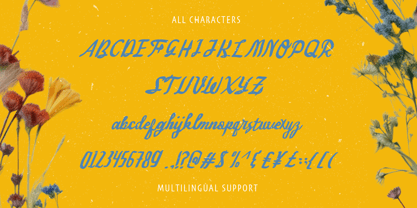 Sachila Font Poster 4