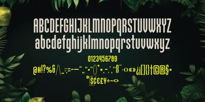 Tropico Font Poster 3