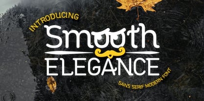 Smooth Elegance Font Poster 1