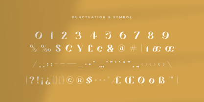 Qiomy Style Font Poster 13