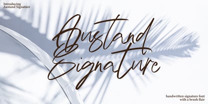 Austand Signature Font Poster 1