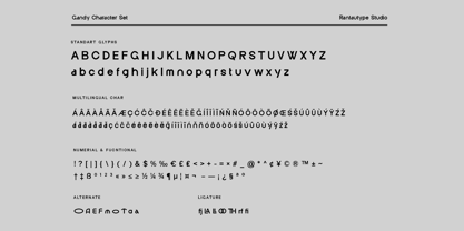 Gendy Font Poster 15