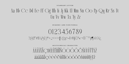 Bodera Font Poster 15