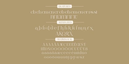 Excrallik Font Poster 6