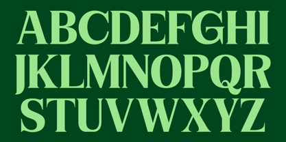 Niecher Font Poster 9