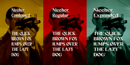 Niecher Font Poster 8