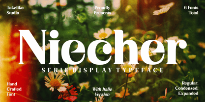 Niecher Font Poster 1