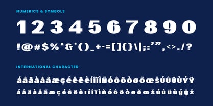 Erakoni Font Poster 5