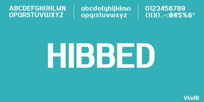 Hibbed Font Poster 2