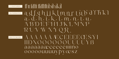 Qeinsha Font Poster 8