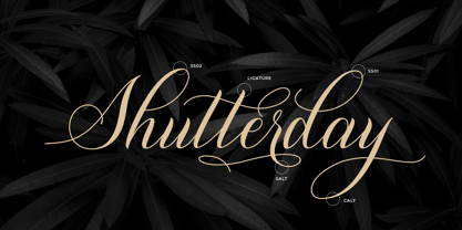 Shutterday Font Poster 7