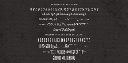 Gollder Vintage Font Poster 11