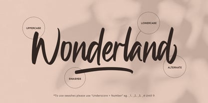 Awesome Wonderland Font Poster 2