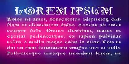 Flaviore Font Poster 4